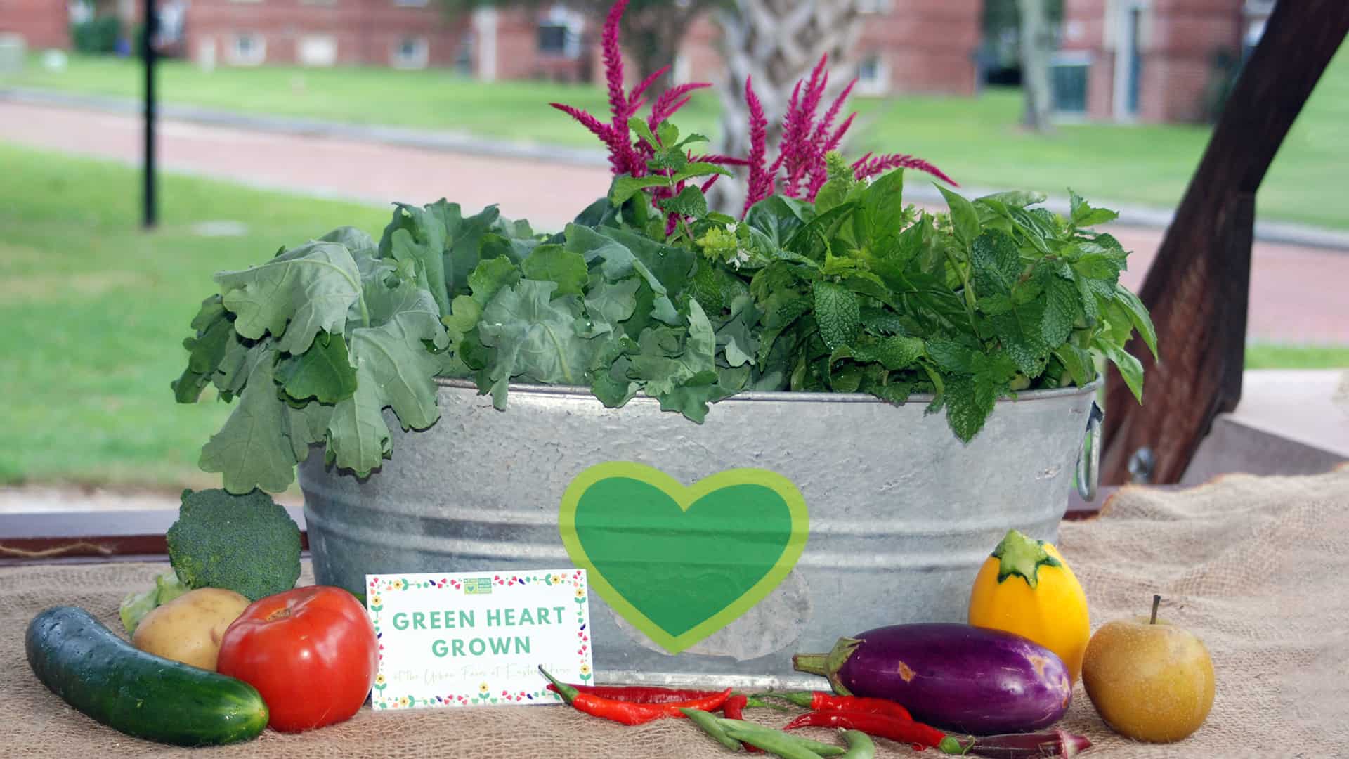 little charleston green heart project